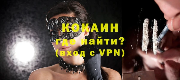 стаф Новодвинск