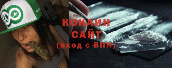 стаф Новодвинск