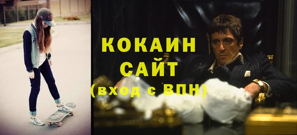 стаф Новодвинск