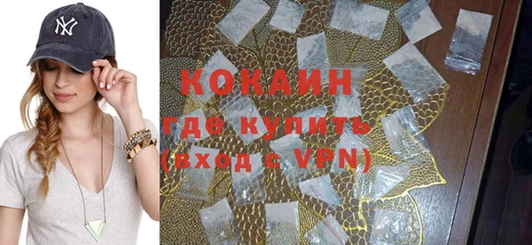 стаф Новодвинск