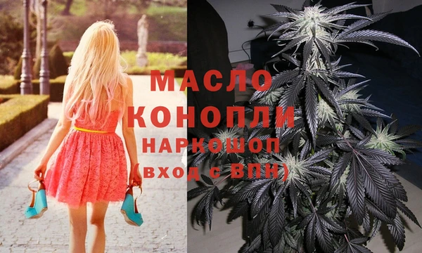стаф Новодвинск