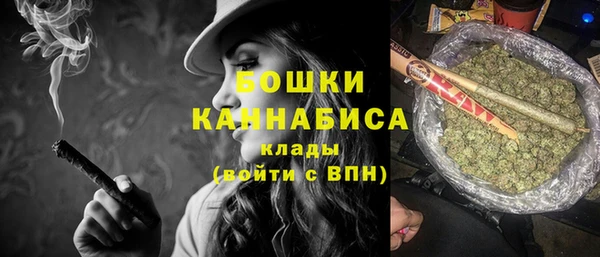 стаф Новодвинск