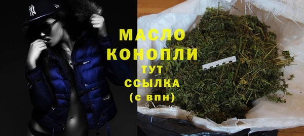 стаф Новодвинск